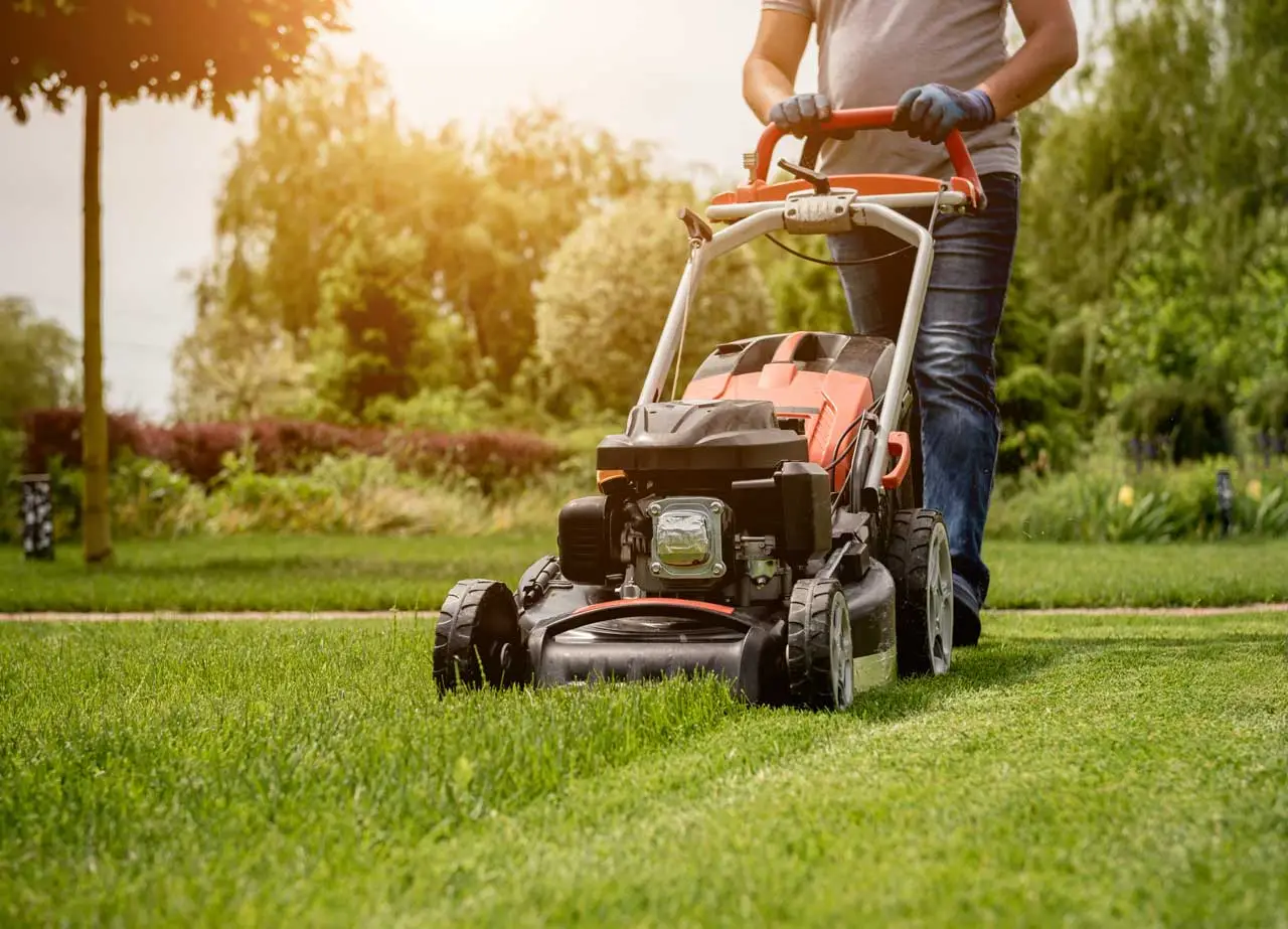 Lawn Maintenance & Landscaping